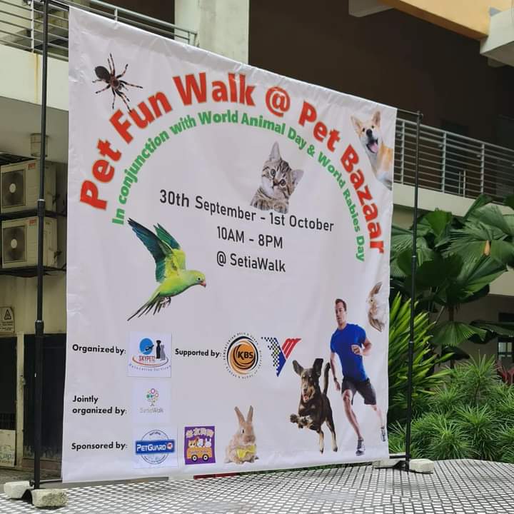 Pet Fun Walk Pet Bazaar