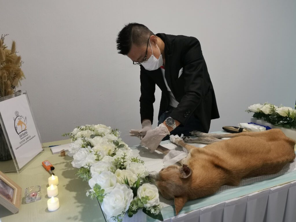 Cremation Certificate with Paw Print