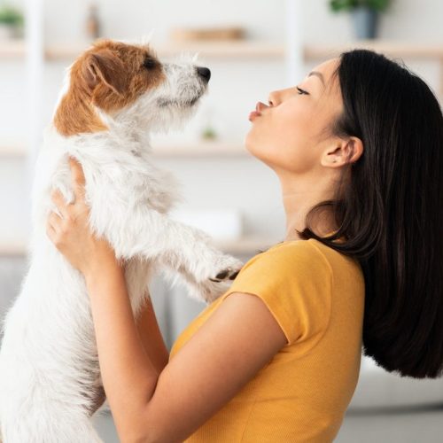 portrait-of-loving-asian-woman-carrying-her-sweet-dog.jpg